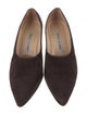 Manolo Blahnik Osmaclo Suede Pumps