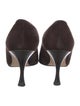 Manolo Blahnik Osmaclo Suede Pumps