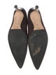 Manolo Blahnik Osmaclo Suede Pumps