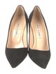 Manolo Blahnik Suede Pumps
