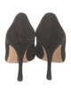 Manolo Blahnik Suede Pumps