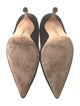 Manolo Blahnik Suede Pumps