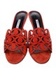 Manolo Blahnik Suede Lasercut Accents Slides
