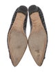 Manolo Blahnik Leather Printed Flats