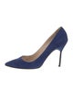 Manolo Blahnik Suede Pumps