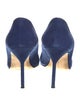 Manolo Blahnik Suede Pumps