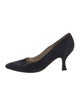 Manolo Blahnik Suede Pumps