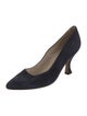 Manolo Blahnik Suede Pumps