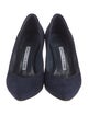 Manolo Blahnik Suede Pumps
