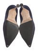 Manolo Blahnik Suede Pumps