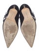 Manolo Blahnik Suede Boots