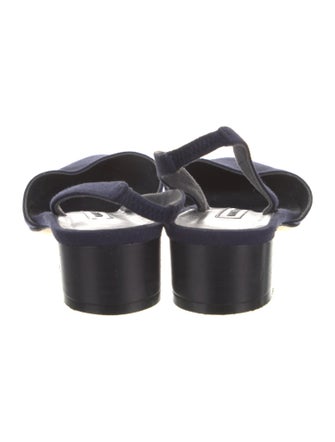 Manolo Blahnik Canvas Slingback Pumps