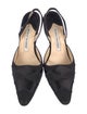Manolo Blahnik Poligleto Slingback Pumps