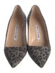 Manolo Blahnik Suede Animal Print Pumps