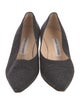 Manolo Blahnik Suede Pumps