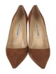 Manolo Blahnik Suede Pumps