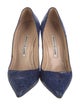 Manolo Blahnik Suede Animal Print Pumps