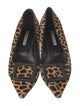 Manolo Blahnik Ponyhair Animal Print Flats