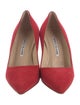 Manolo Blahnik Suede Pumps