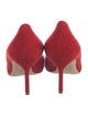 Manolo Blahnik Suede Pumps
