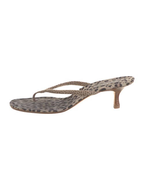 Manolo Blahnik Suede Animal Print Slides