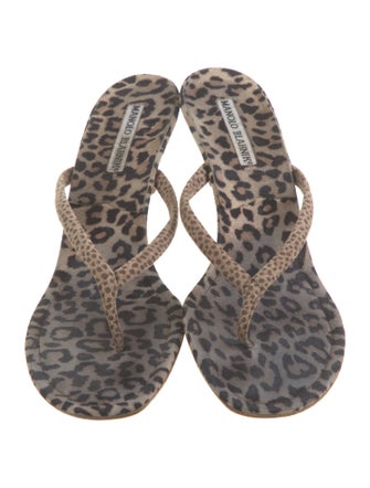 Manolo Blahnik Suede Animal Print Slides