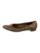 Manolo Blahnik Printed Ballet Flats