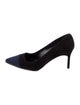 Manolo Blahnik Suede Pumps