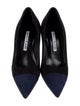 Manolo Blahnik Suede Pumps