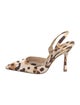 Manolo Blahnik Animal Print Slingback Pumps