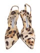 Manolo Blahnik Animal Print Slingback Pumps