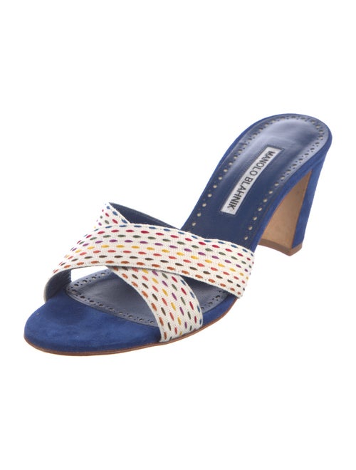 Manolo Blahnik Suede Printed Slides