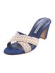 Manolo Blahnik Suede Printed Slides