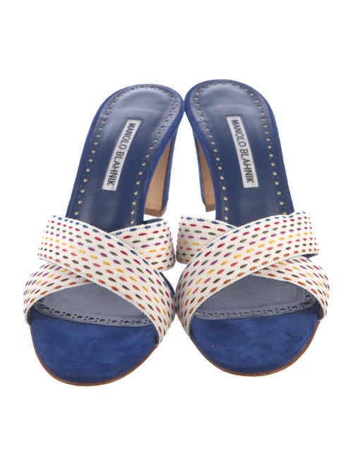 Manolo Blahnik Suede Printed Slides