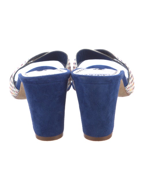 Manolo Blahnik Suede Printed Slides