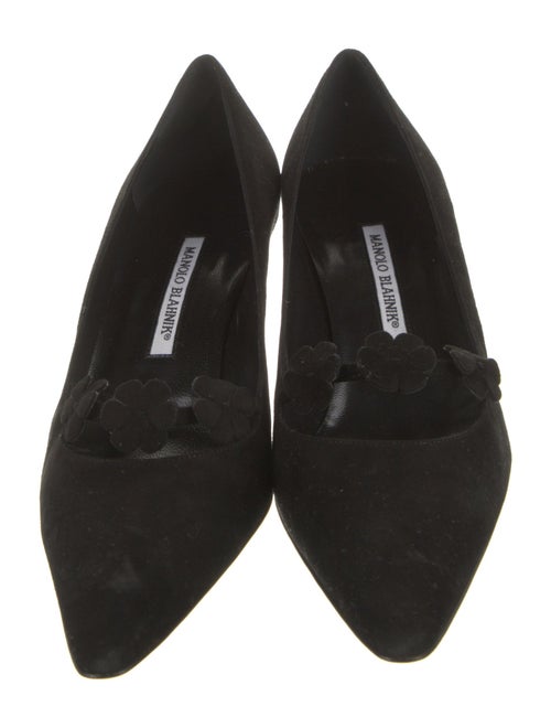 Manolo Blahnik Suede Pumps