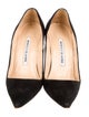Manolo Blahnik Suede Pumps