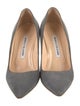 Manolo Blahnik Suede Pumps