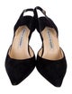 Manolo Blahnik Suede Slingback Pumps