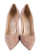 Manolo Blahnik Suede Pumps