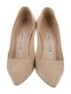 Manolo Blahnik Suede Pumps