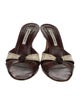 Manolo Blahnik Leather Printed Slides