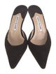 Manolo Blahnik Suede Mules