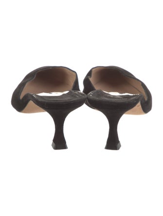 Manolo Blahnik Suede Mules