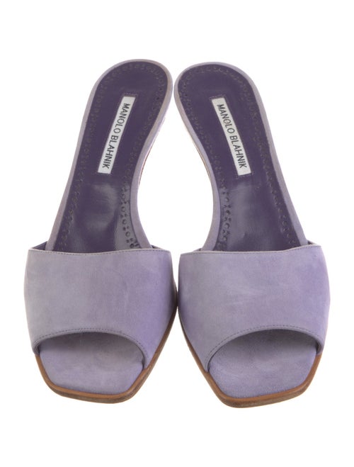 Manolo Blahnik Suede Mules