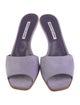 Manolo Blahnik Suede Mules