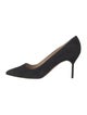 Manolo Blahnik Suede Pumps