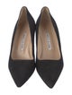 Manolo Blahnik Suede Pumps