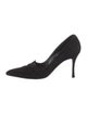 Manolo Blahnik Suede Pumps