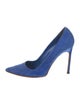 Manolo Blahnik Suede Pumps